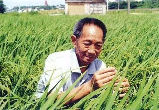 一日三餐，米香彌漫，飽食者當(dāng)憶袁公！