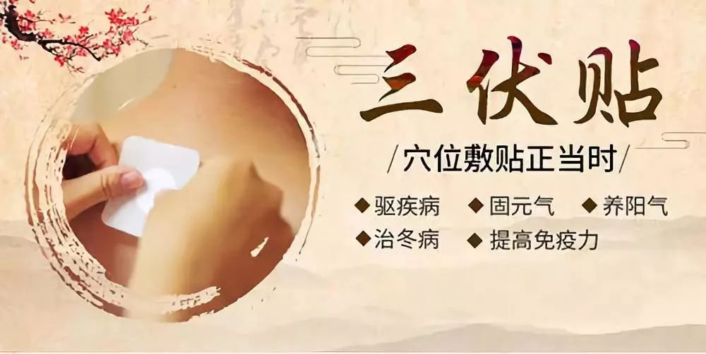 關于三伏貼，你了解多少呢？